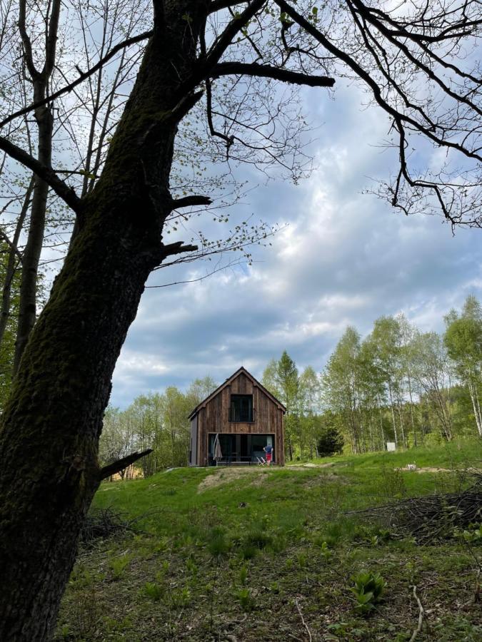 Mlynowiec 4rest Stronie Śląskie